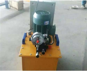 合肥标准电动泵供应生产